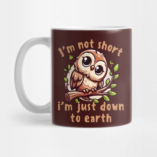 I'm Not Short I'm Just Down To Earth Mug